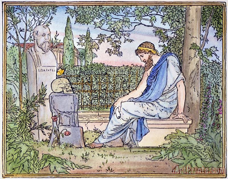 plato sitting in garden looking at a skull