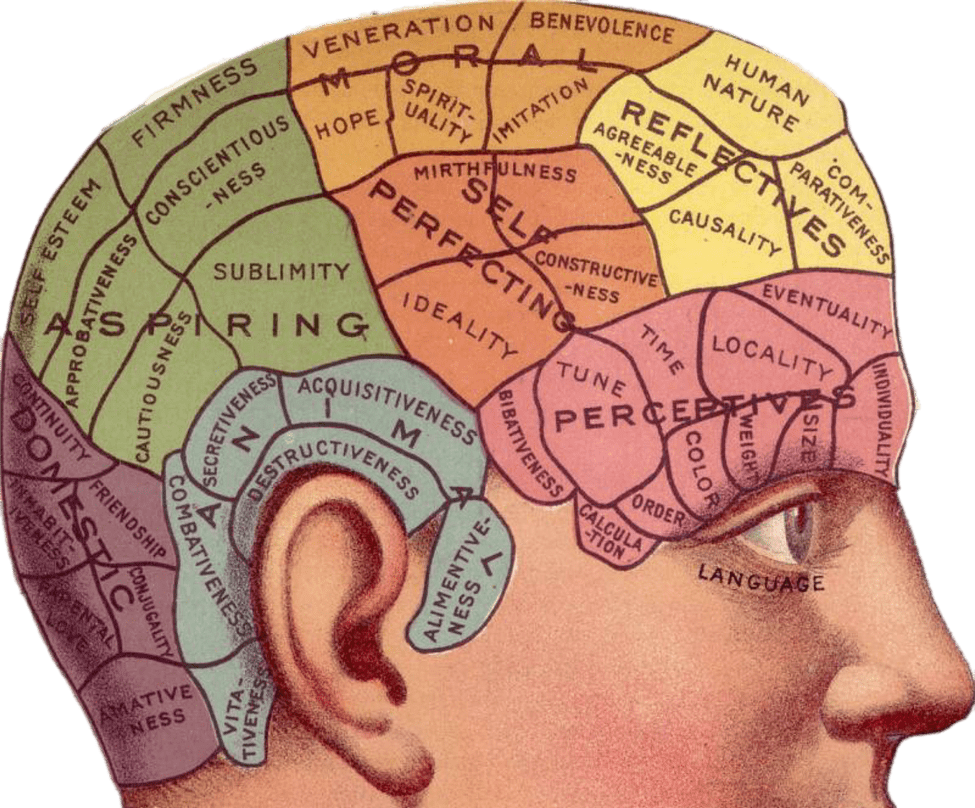 phrenology-map-of-brain-circa-1850